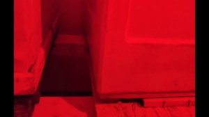 Зимовка пчел январь 2026