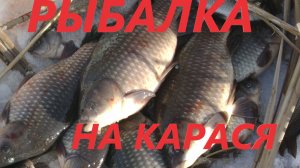 ЗИМНЯЯ РЫБАЛКА НА ТЯГУ. ДЕЛАЕМ МАЙНЫ