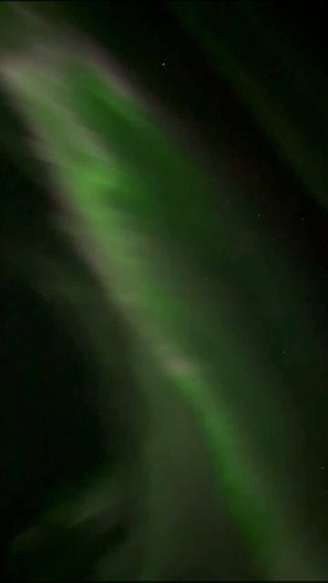 Аврора над посёлком, январь 2026