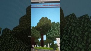 Советы для новичков по постройке дома в Майн онлайн