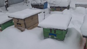 Как выбрать тип улья,для ведения пчеловодства