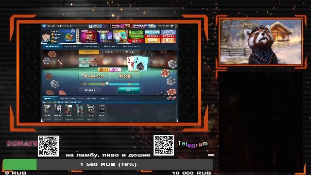 LIVE: Русский Север