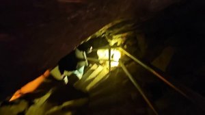 #373 We Explored the World’s Longest Cave!  Family Trip to Mammoth Cave 24.01.2026