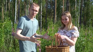 НАША ЖИЗНЬ В ДЕРЕВНЕ. СБОР ИВАН-ЧАЯ. ПРОДОЛЖАЕМ НАВОДИТЬ ПОРЯДОК НА УЧАСТКЕ!