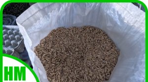 24 января. Как правильно сделать отвар из овса.