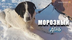А у нас морозы до -39 градусов!