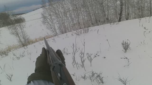 Охота на трехного зайца смотреть онлайн