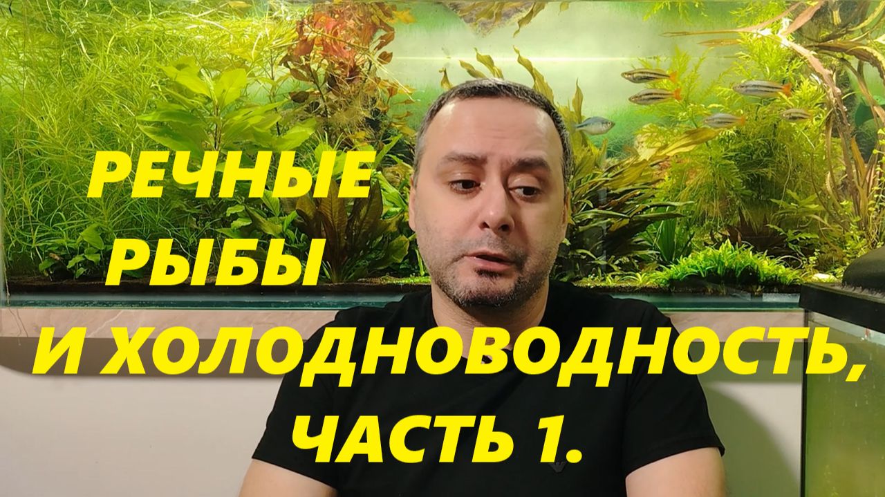 Речные рыбы и Холодноводность. Часть 1. смотреть онлайн