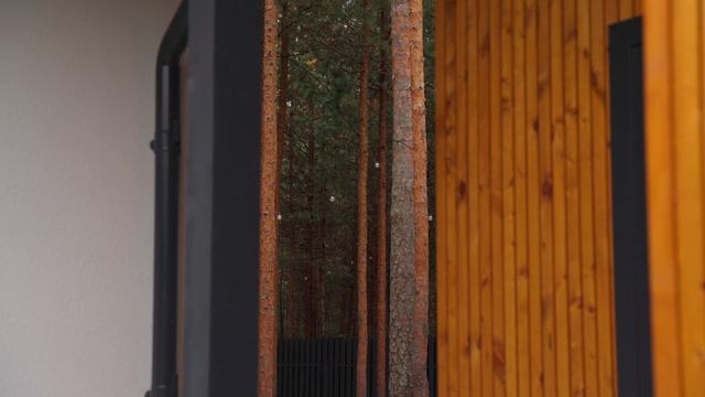 домик в лесу - строительство загородной недвижимости ROOF SERVICE