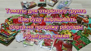 Томаты в открытый грунт. Высокорослые и низкорослые.Розыгрыш в честь 1000 подписчиков.