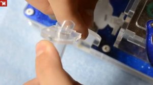 Почему не переселяются муравьи_ Camponotus parius. Ферма Белый дом.