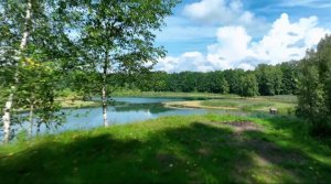 Гляжу в озера синие