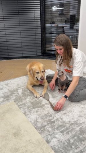 Получилось повторить?🤔