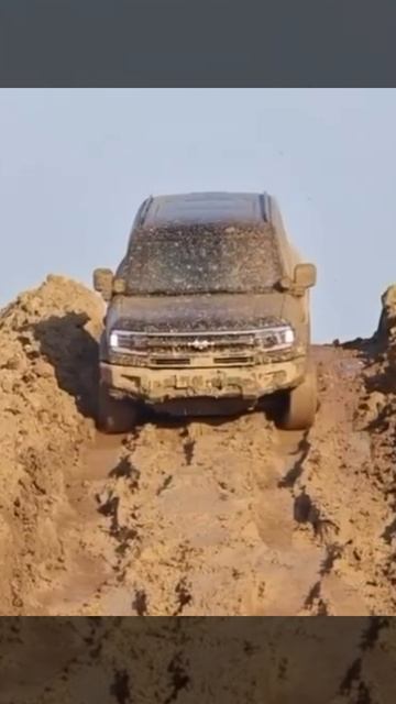 Кошки грязи не боятся! Леопольд рвёт и мечет!!. BYD Leonard 5 . смотреть онлайн