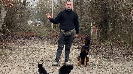 доберман Тайгер- Дрессировка с помощниками котами! смотреть онлайн