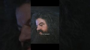 Краткий пересказ фильма