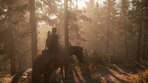 The Path Alone: Longing 🎵 Ambient Music from The Last of Us Part II