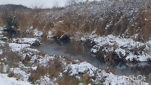 прогулка вдоль реки смотреть онлайн
