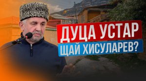 Дуца устар щай хисуларев?