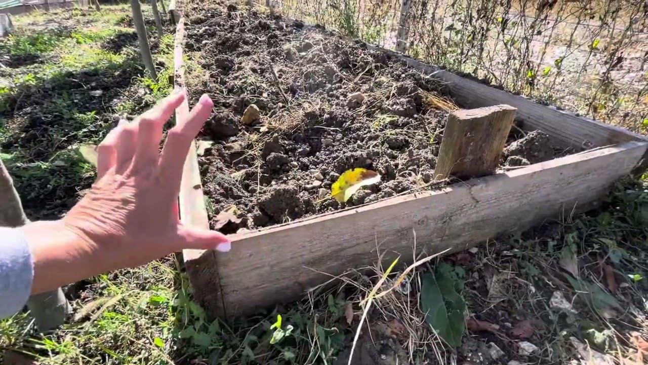 Октябрь Что за ямы во дворе Уволилась с работы смотреть онлайн