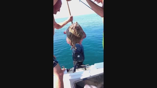 Рыбалка в Сочи, 4 ската и компания. смотреть онлайн