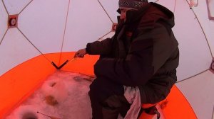 новый сезон на ладоге