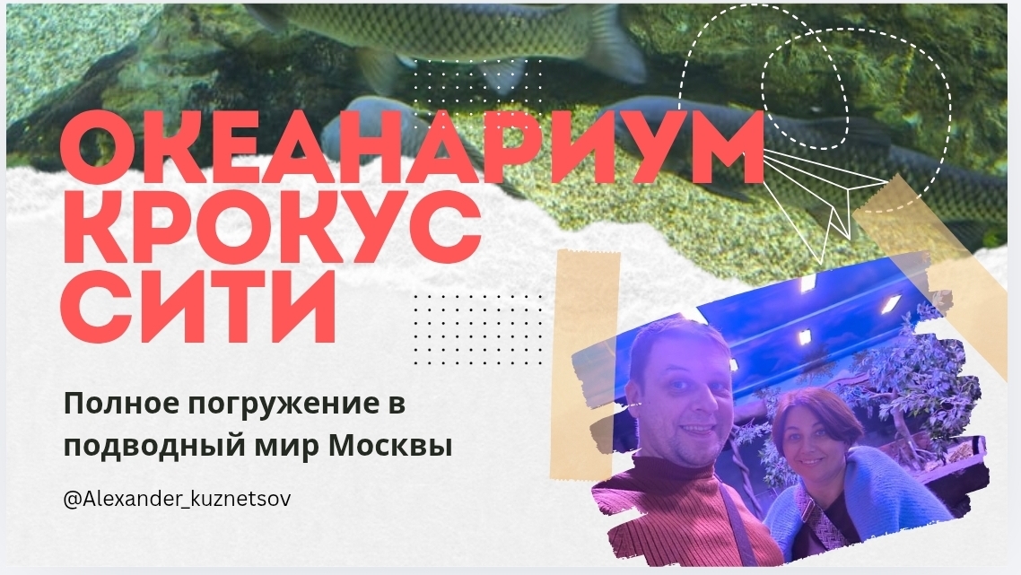 ОКЕАНАРИУМ КРОКУС СИТИ ХОЛЛ | Полное погружение в подводный мир Москвы смотреть онлайн