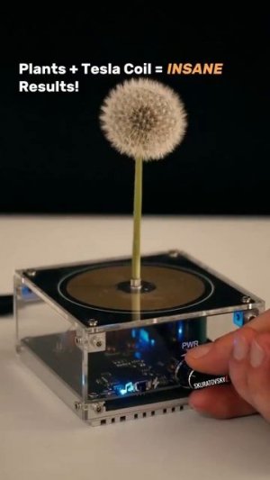 Катушка Тесла и растения