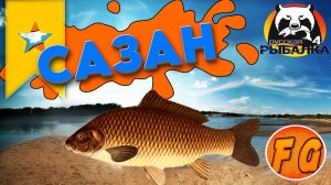 Трофейный Сазан. р. Ахтуба. Russian Fishing 4. рр4. Русская рыбалка 4.