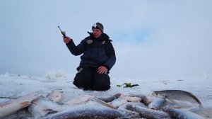 КУЧА РЫБЫ В ТОРОСАХ, ГЛАВНОЕ РУКАМИ НЕ МАХАТЬ. Крупная густера и чехонь на лесенку. Рыбалка на Волге