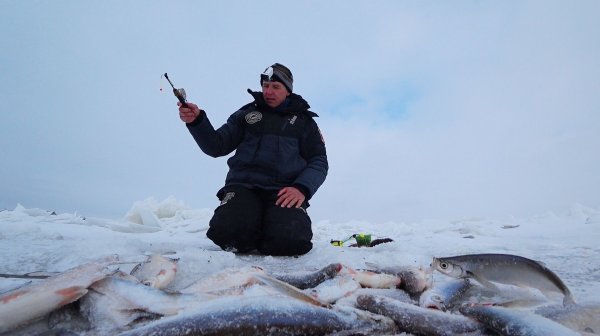 КУЧА РЫБЫ В ТОРОСАХ, ГЛАВНОЕ РУКАМИ НЕ МАХАТЬ. Крупная густера и чехонь на лесенку. Рыбалка на Волге