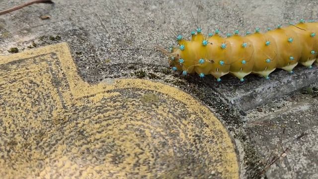 Мир в твоих руках смотреть онлайн