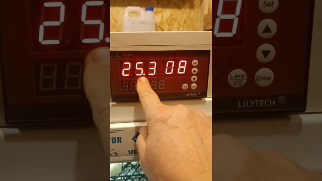 Домашний инкубатор на 200 яиц