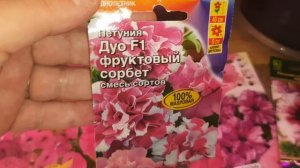 ПОСЕЯЛА 18 СОРТОВ ПЕТУНИЙ.