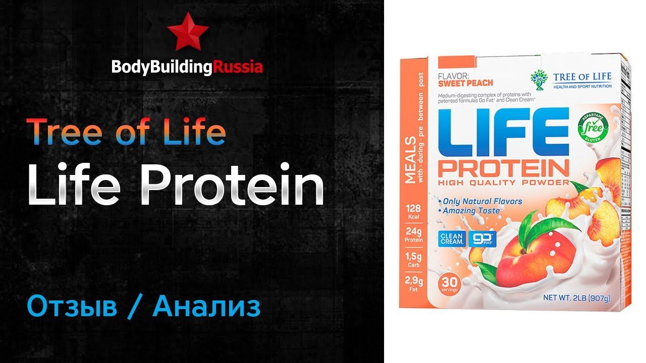 Tree of Life | Life Protein | Отзыв | Анализ | Сколько белка содержит | Стоит ли покупать | Обзор смотреть онлайн