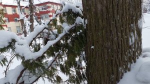 Творческая мастерская чтеца