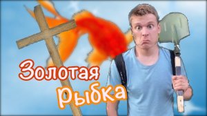 Золотая рыбка