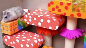 Приключения маленького хомячка в океанском бассейне с шариками, прохладное и освежающее лето!