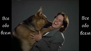 Комиссар Рекс. Смешные моменты 1 сезона