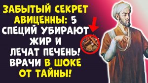 ЖИР УЙДЕТ САМ! Авиценна знал 5 СПЕЦИЙ. В 60+ ЛЕТ КАК В20!