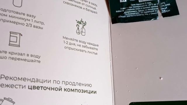 Букет от сына: живые гвоздики, хлопок и ёлочка от Цветочных историй как новогоднее чудо смотреть онлайн