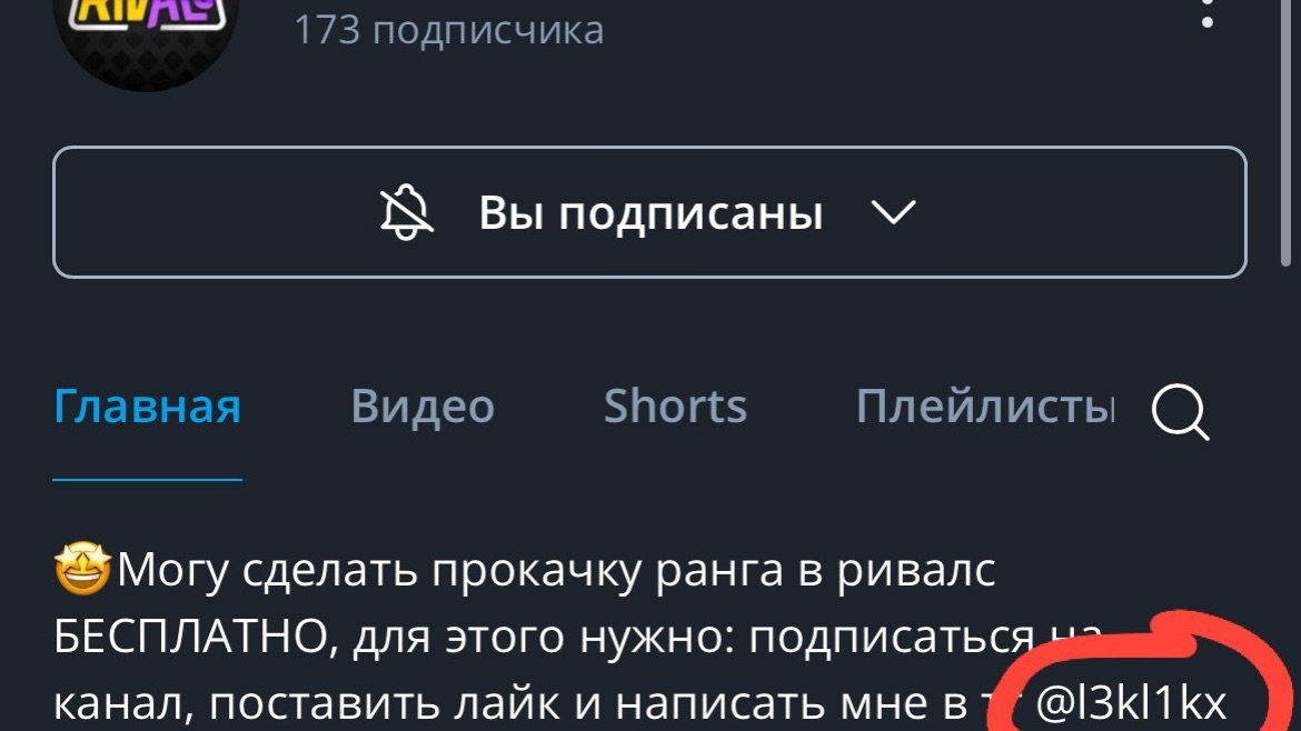 Эх ты пронуб обманщик с тебя мне на ак Голд 1