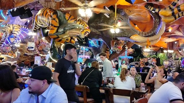 В баре Tiger смотреть онлайн