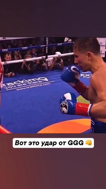 Головкин удивляет 😮 смотреть онлайн