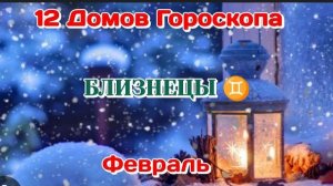 БЛИЗНЕЦЫ ♊  12 ДОМОВ ГОРОСКОПА/ФЕВРАЛЬ/ТАРО ПРОГНОЗ