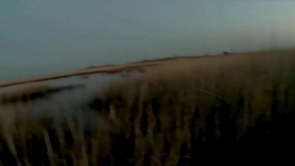 озеро Турали. 2025 на утку.