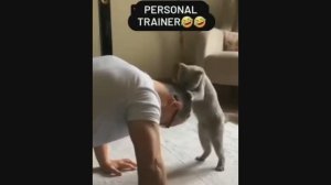 #смешныевидео -768