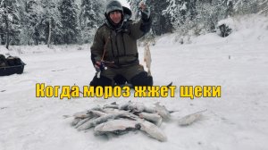 Мороз крепчает, щеки жгёт, зато сорога тут клюет! Зимняя рыбалка.