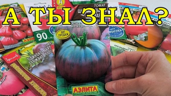 ТОМАТЫ  - 2026🍅🍅🍅 Буду сеять ЛУЧШИЕ из лучших🔥🔥🔥