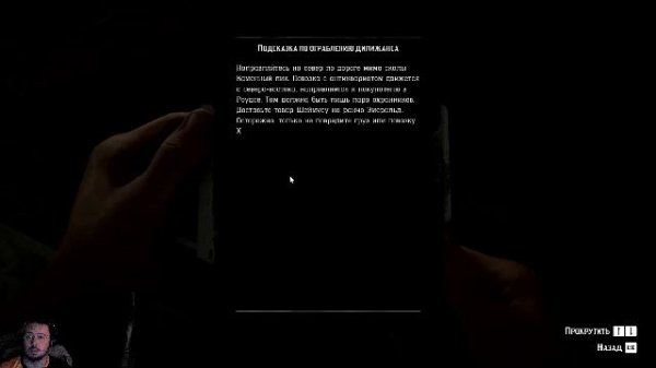 Red Dead Redemption 2 пятнадцатый день